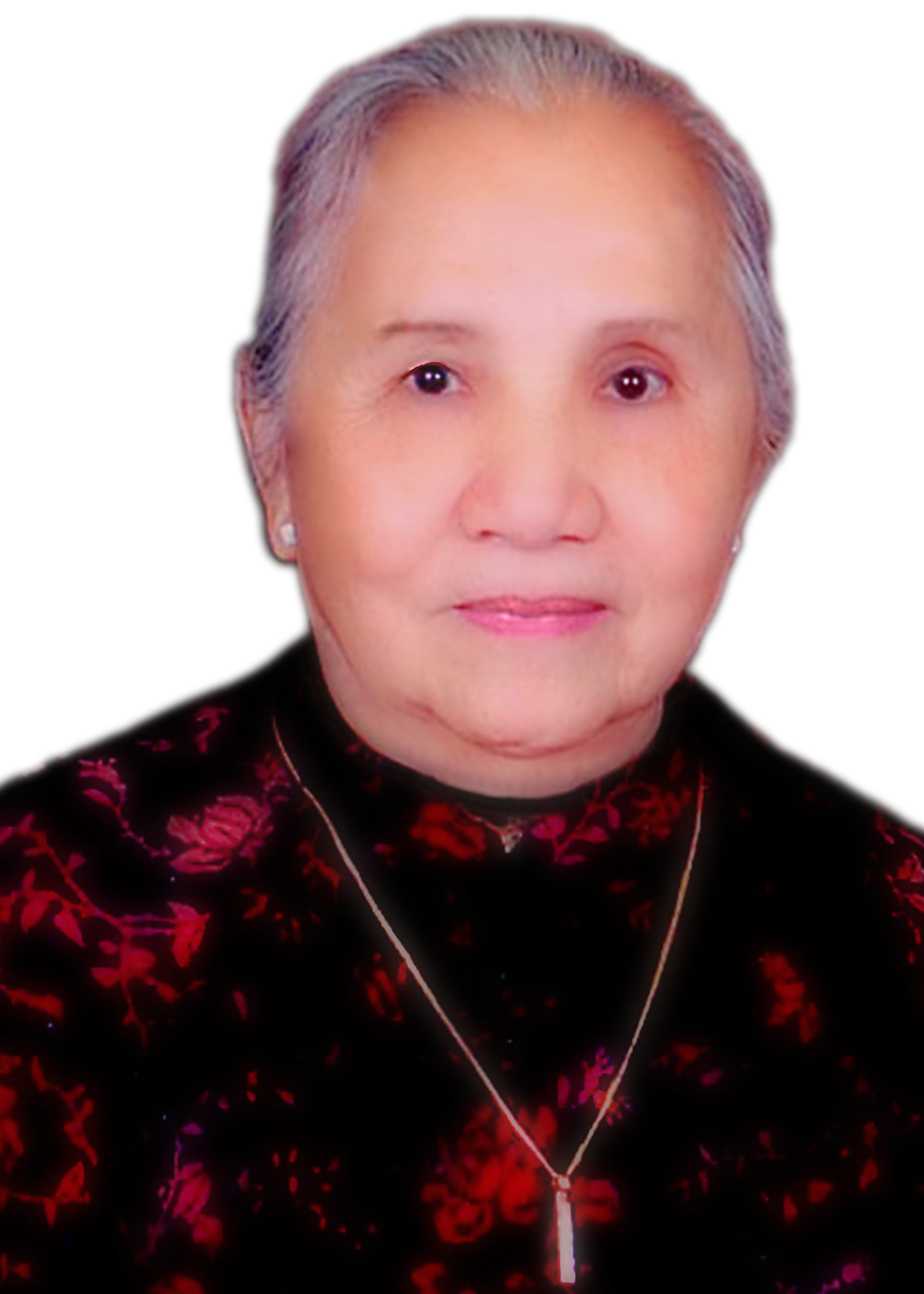 nguyet phan