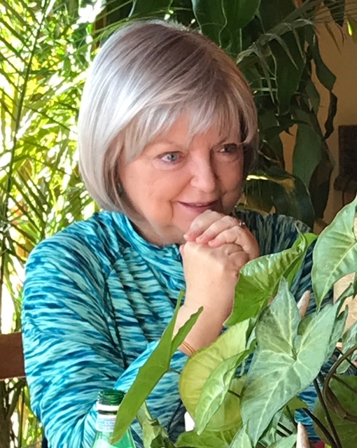 anne rhodes