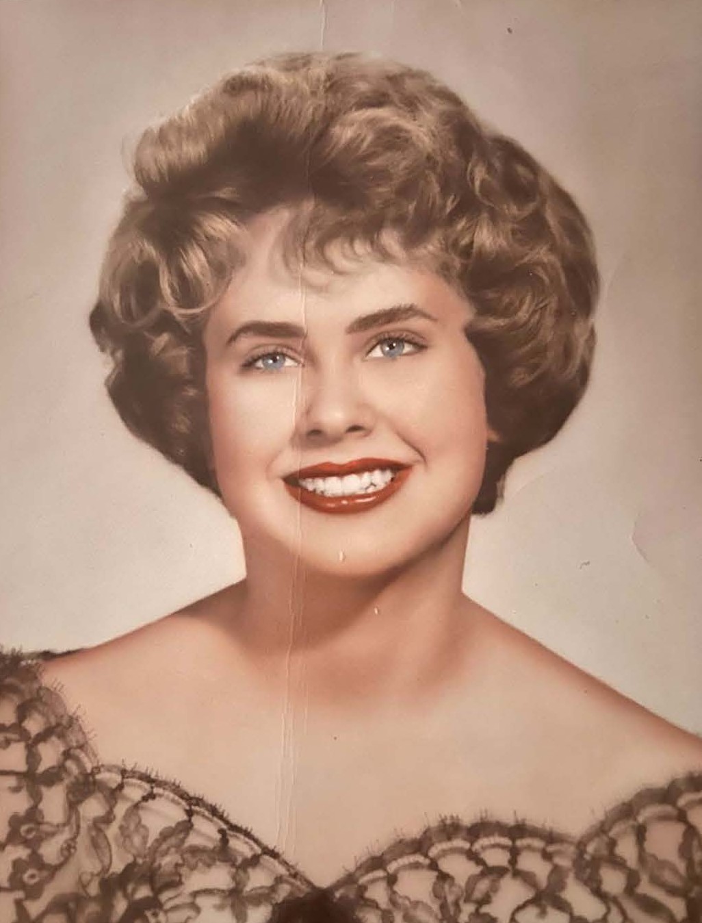 shelley evans